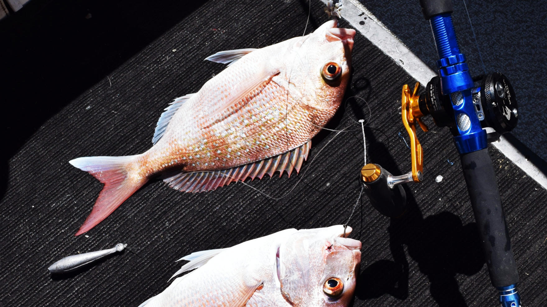 Tica Advantage Fishing Rod Graphite, Sports Equipment, Fishing on